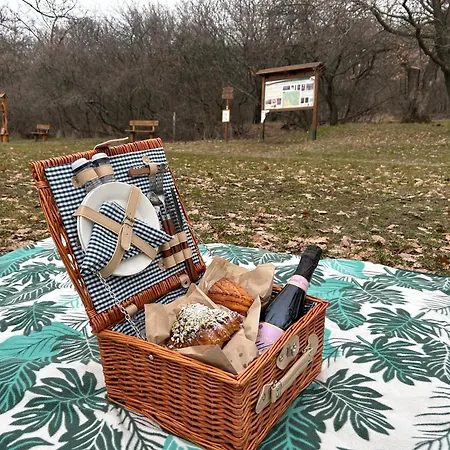 Mila Panoramic * Pécs